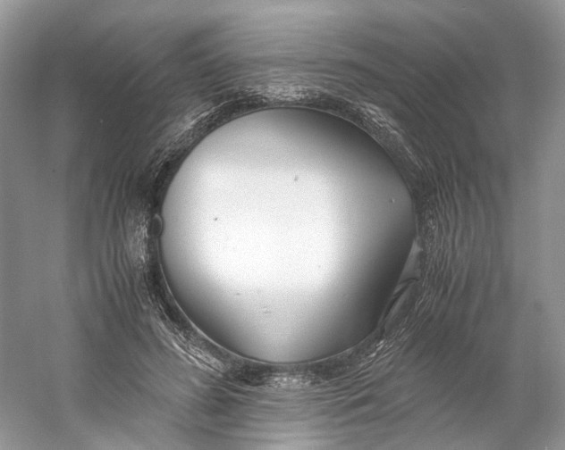 X0000060750596200512011449