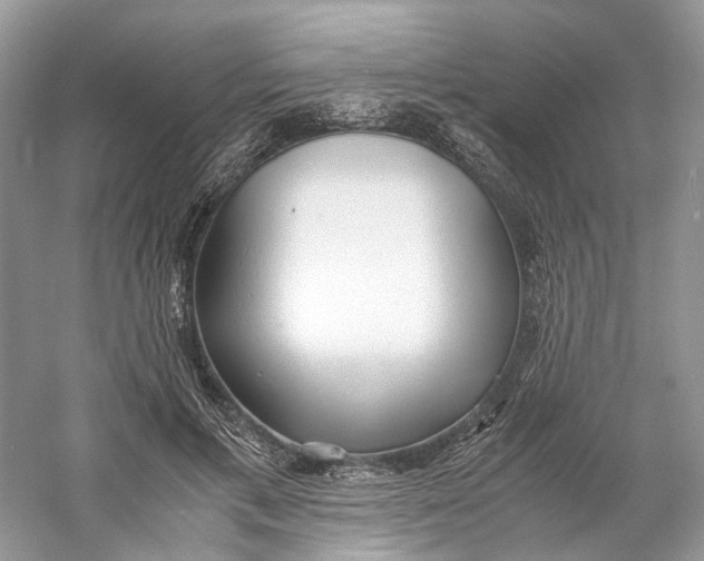 X0000060750597200512011449