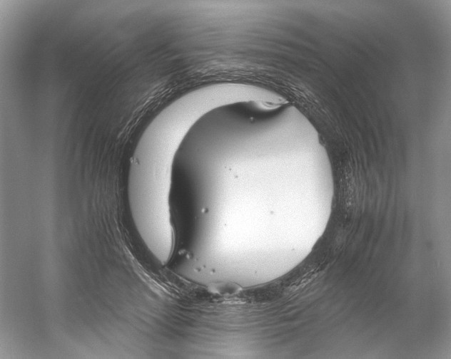 X0000060750598200512011449