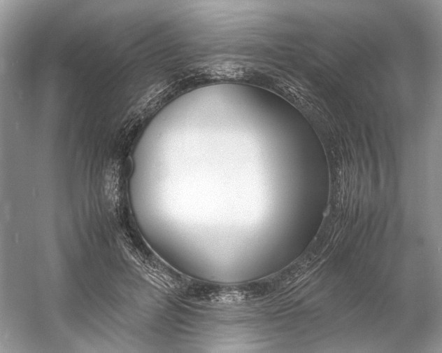 X0000060750600200512011449
