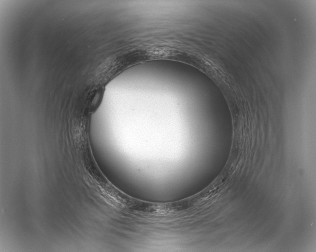 X0000060750601200512011449