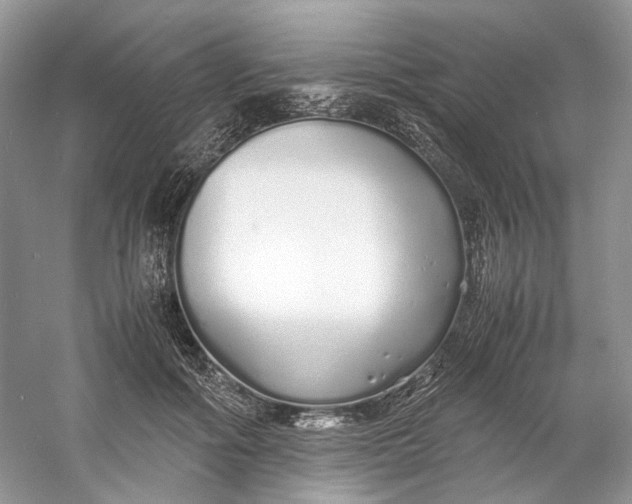 X0000060750602200512011449