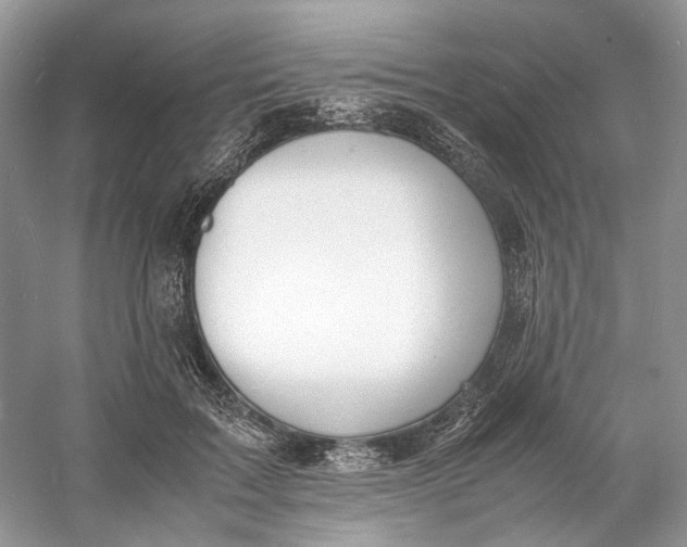 X0000060750603200512011449