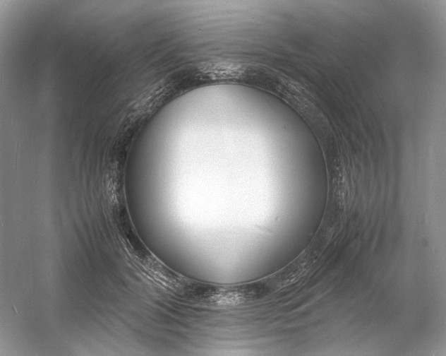 X0000060750604200512011449