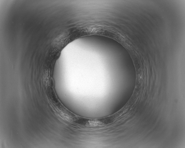 X0000060750605200512011449