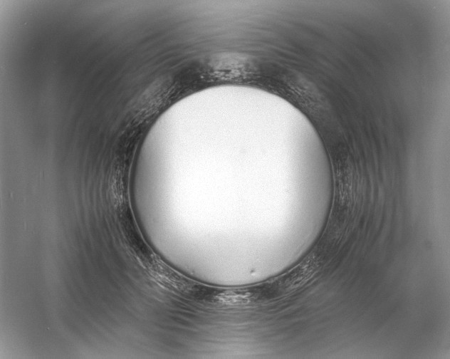 X0000060750606200512011449