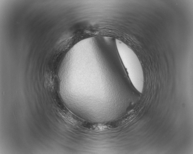 X0000060750607200512011449