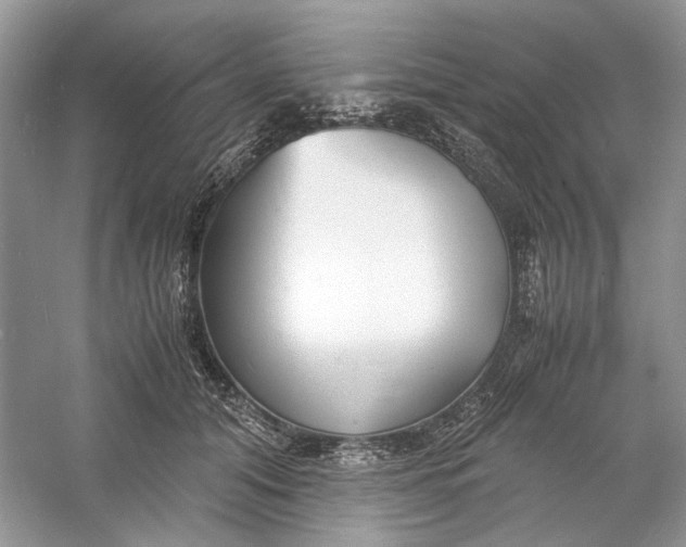 X0000060750608200512011449