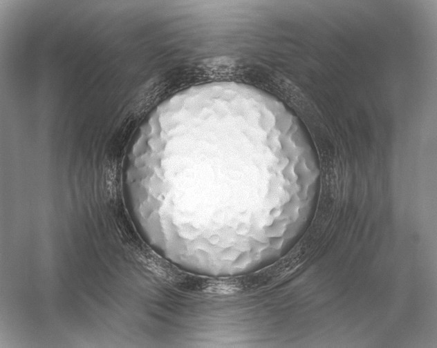 X0000060750610200512011448