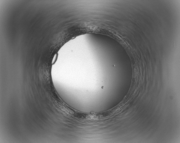 X0000060750613200512011448