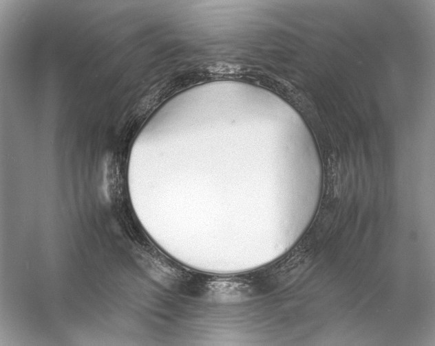 X0000060750614200512011448