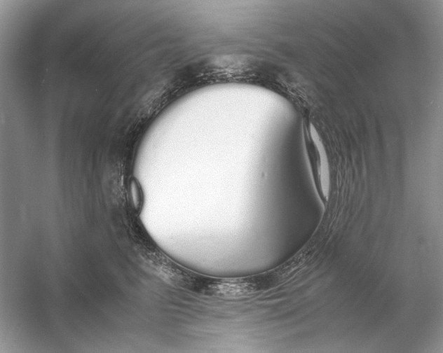 X0000060750615200512011448