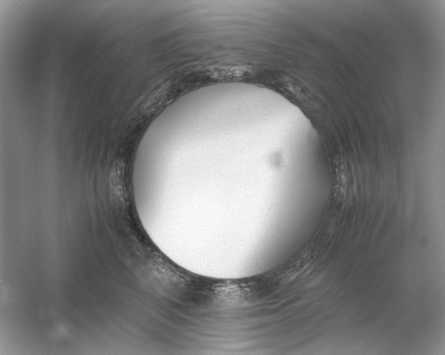 X0000060750616200512011448