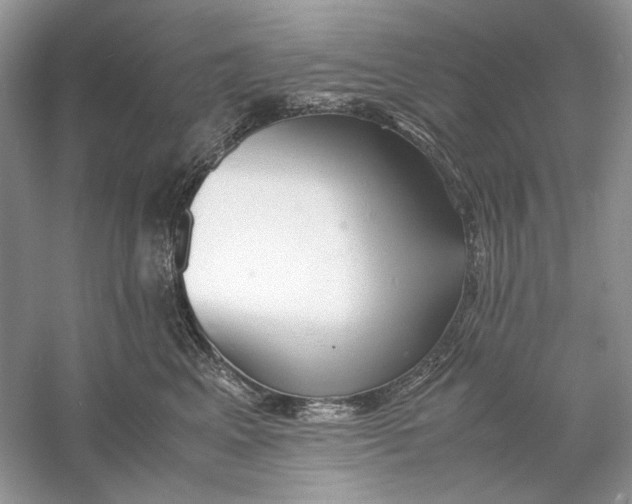 X0000060750617200512011448
