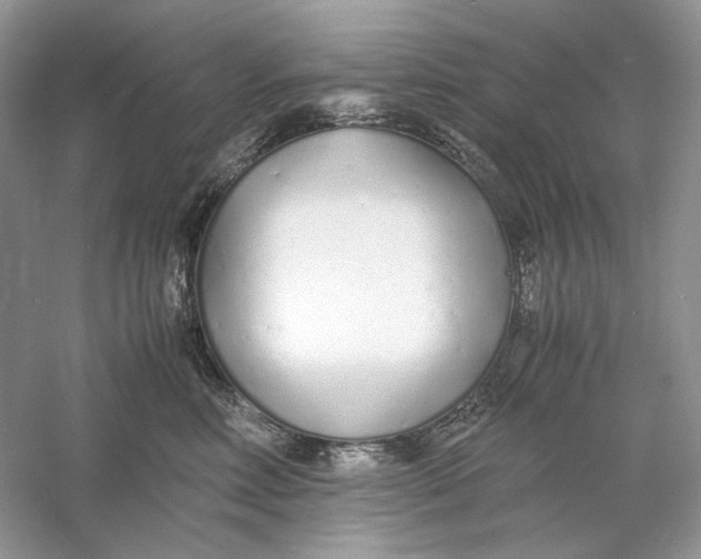 X0000060750618200512011448