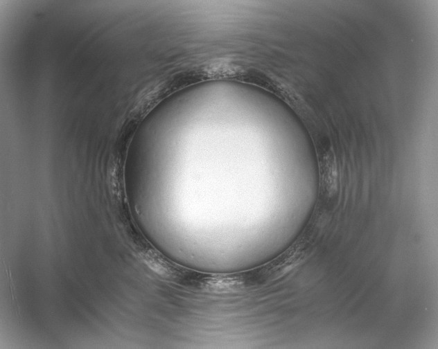 X0000060750619200512011448