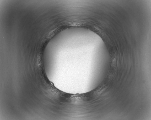 X0000060750620200512011448