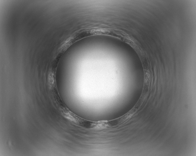X0000060750621200512011448