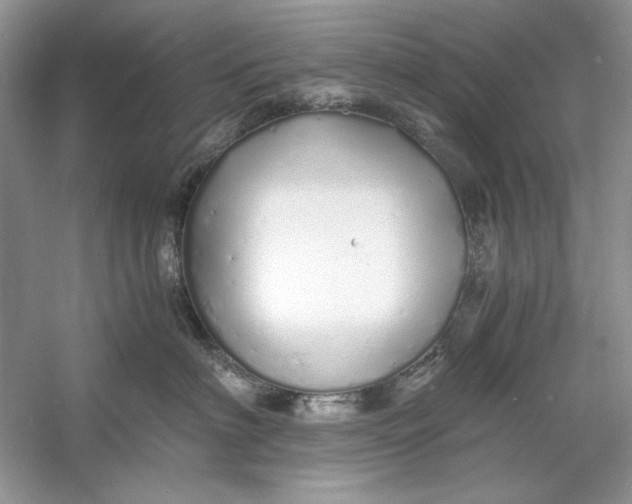 X0000060750622200512011448