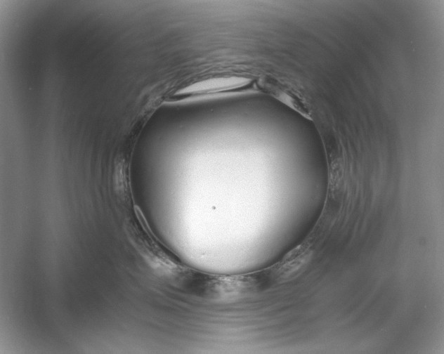 X0000060750623200512011448
