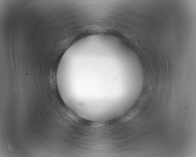 X0000060750624200512011448