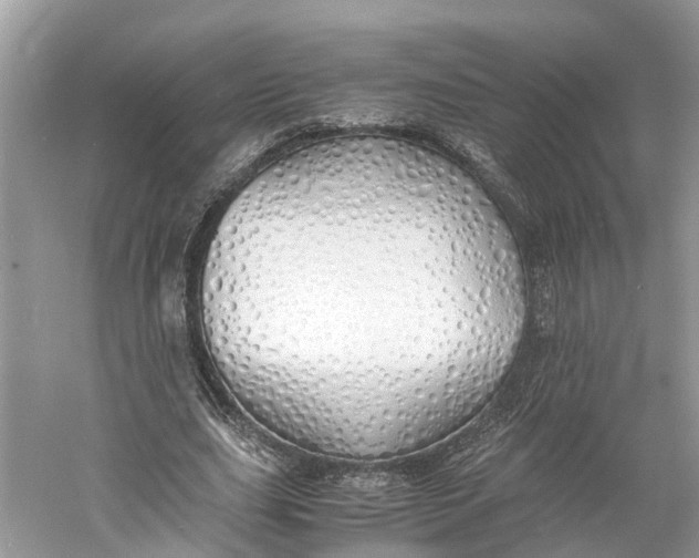 X0000060750631200512011448