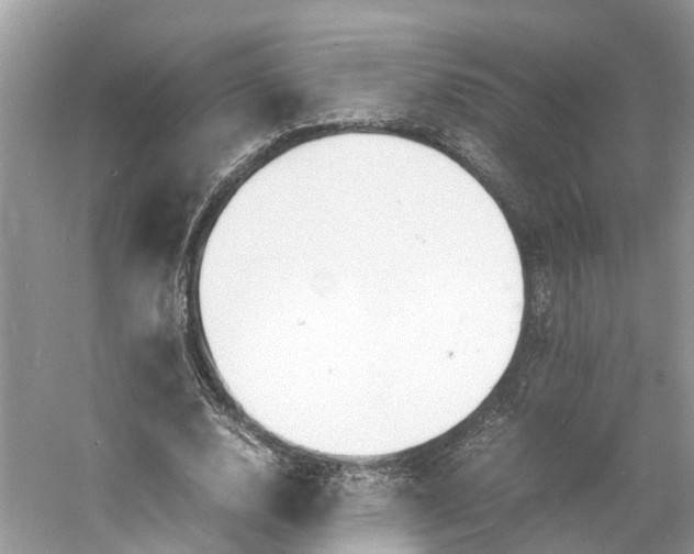 X0000060750632200512011448