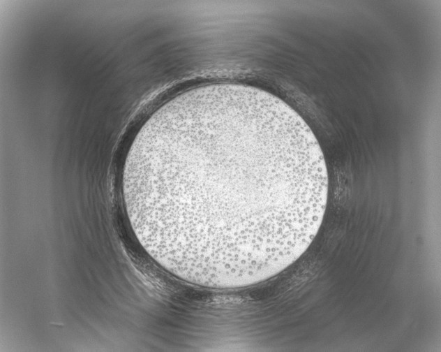 X0000060750636200512011448
