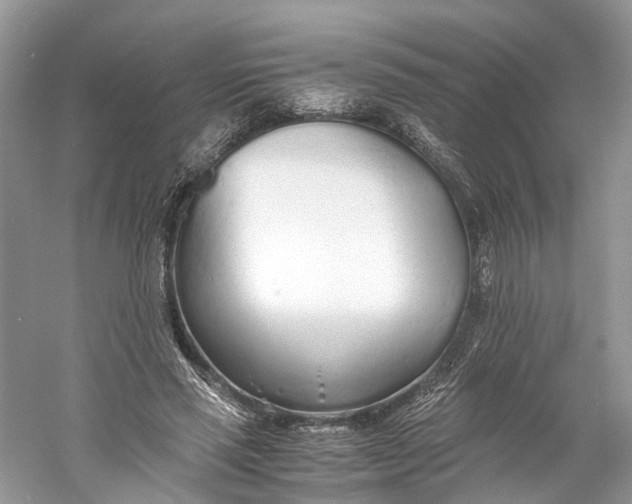 X0000060750637200512011448