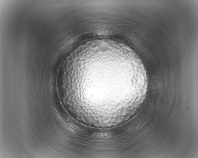 X0000060750639200512011448
