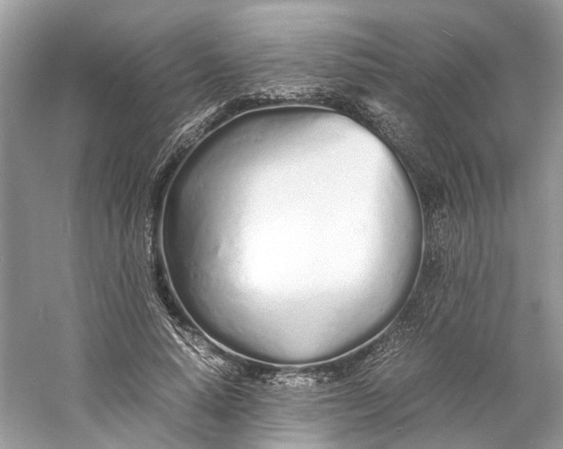 X0000060750640200512011448