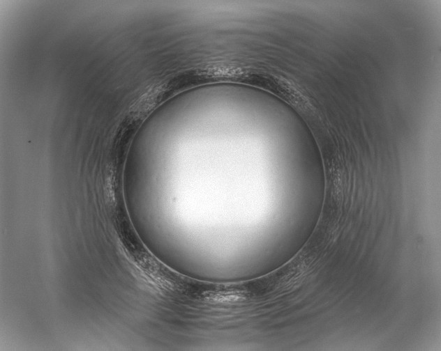 X0000060750643200512011448