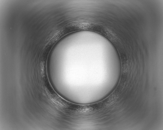 X0000060750646200512011448