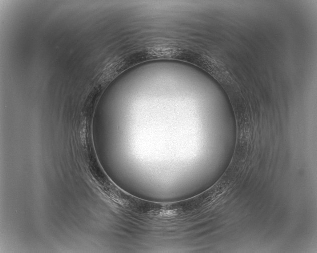 X0000060750647200512011448