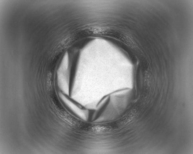 X0000060750650200512011448