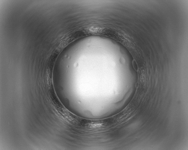 X0000060750651200512011448