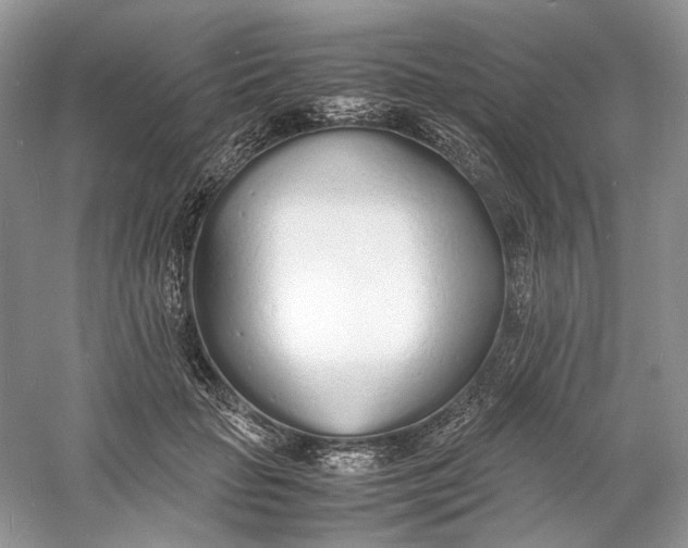 X0000060750653200512011448