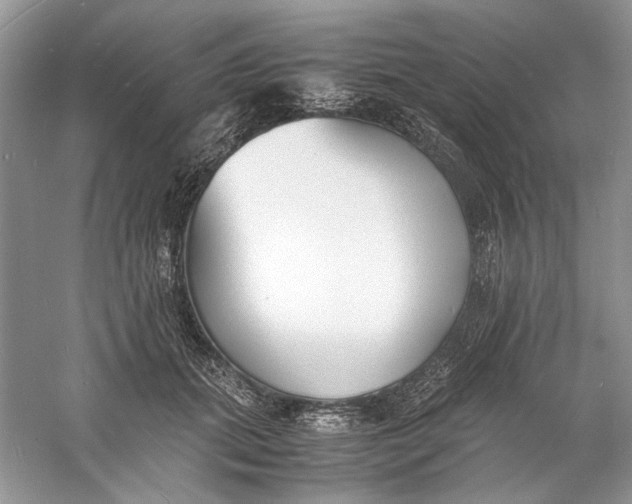 X0000060750655200512011448