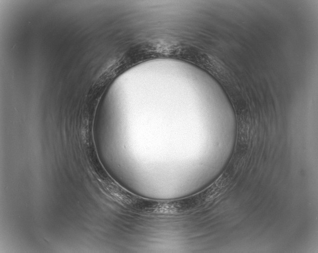 X0000060750656200512011448