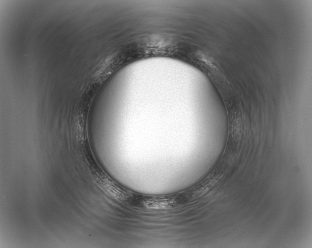 X0000060750661200512011448
