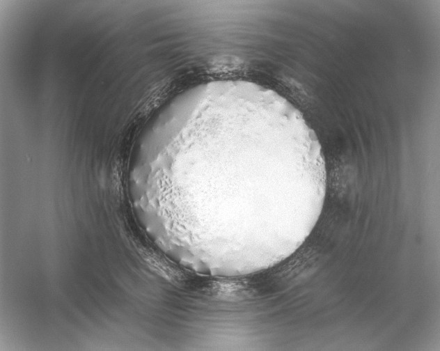 X0000060750662200512011448