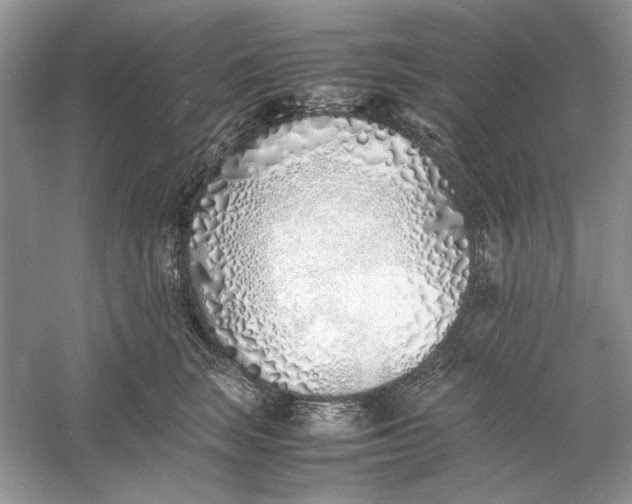 X0000060750663200512011448