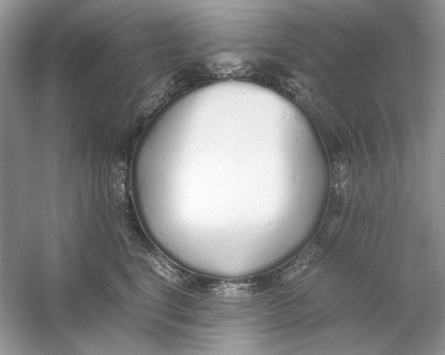 X0000060750664200512011448