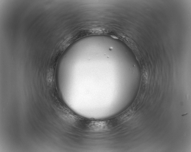 X0000060750665200512011448