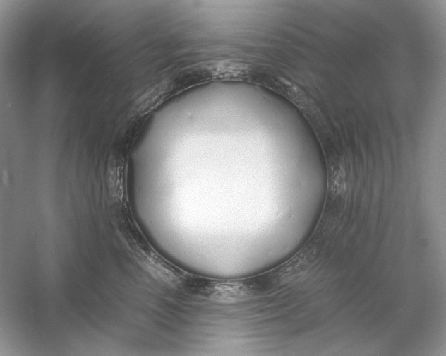 X0000060750666200512011448