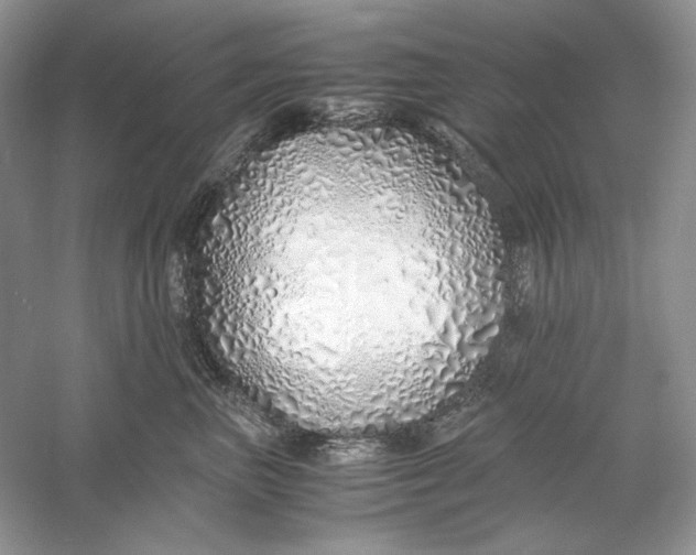 X0000060750667200512011448