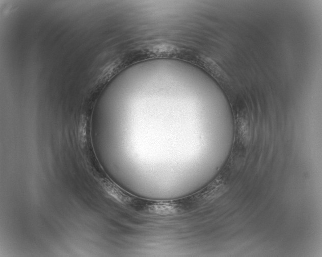 X0000060750668200512011448