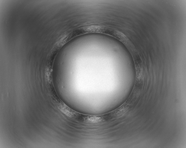 X0000060750669200512011448