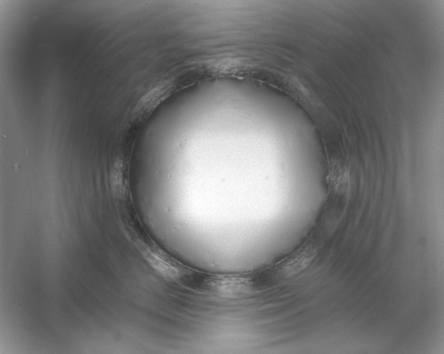 X0000060750670200512011448