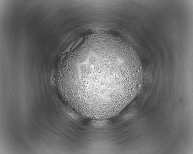 X0000060750671200512011448